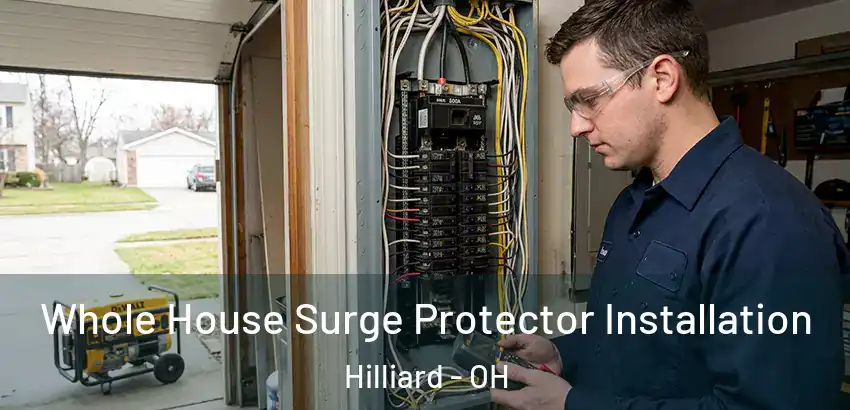  Whole House Surge Protector Installation Hilliard - OH